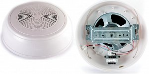 WP-10T Громкоговоритель настенный в Хабаровске